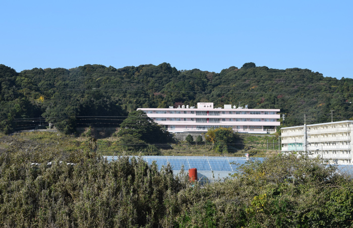 特別養護老人ホーム海山荘 海岸まで300m、富士山も見えます。就職エントリーシート